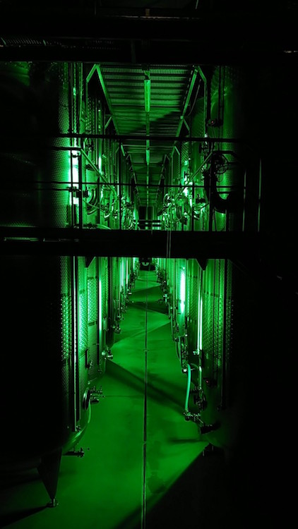 Blick in den grün beleuchteten Gär- und Reifekeller der Winzer Krems mit riesigen Stahltanks. Wanderhunger
