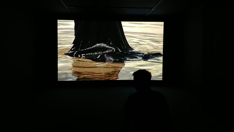 Szenenfoto aus dem Film The Leopoard von Isaac Julien am Linzer Höhenrausch. Wanderhunger