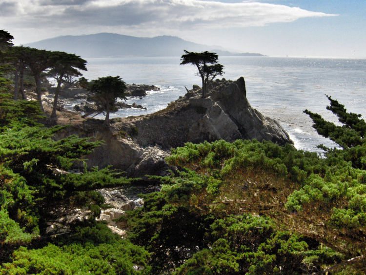 Felsformation mit einsamem Baum an der Küste bei Monterey. Wanderhunger. Von Monterey in's Death Valley
