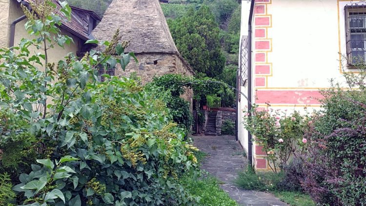 Schöner und gepflegter Hauseingang, Hauseinfahrt in Spitz an der Donau. Wanderhunger
