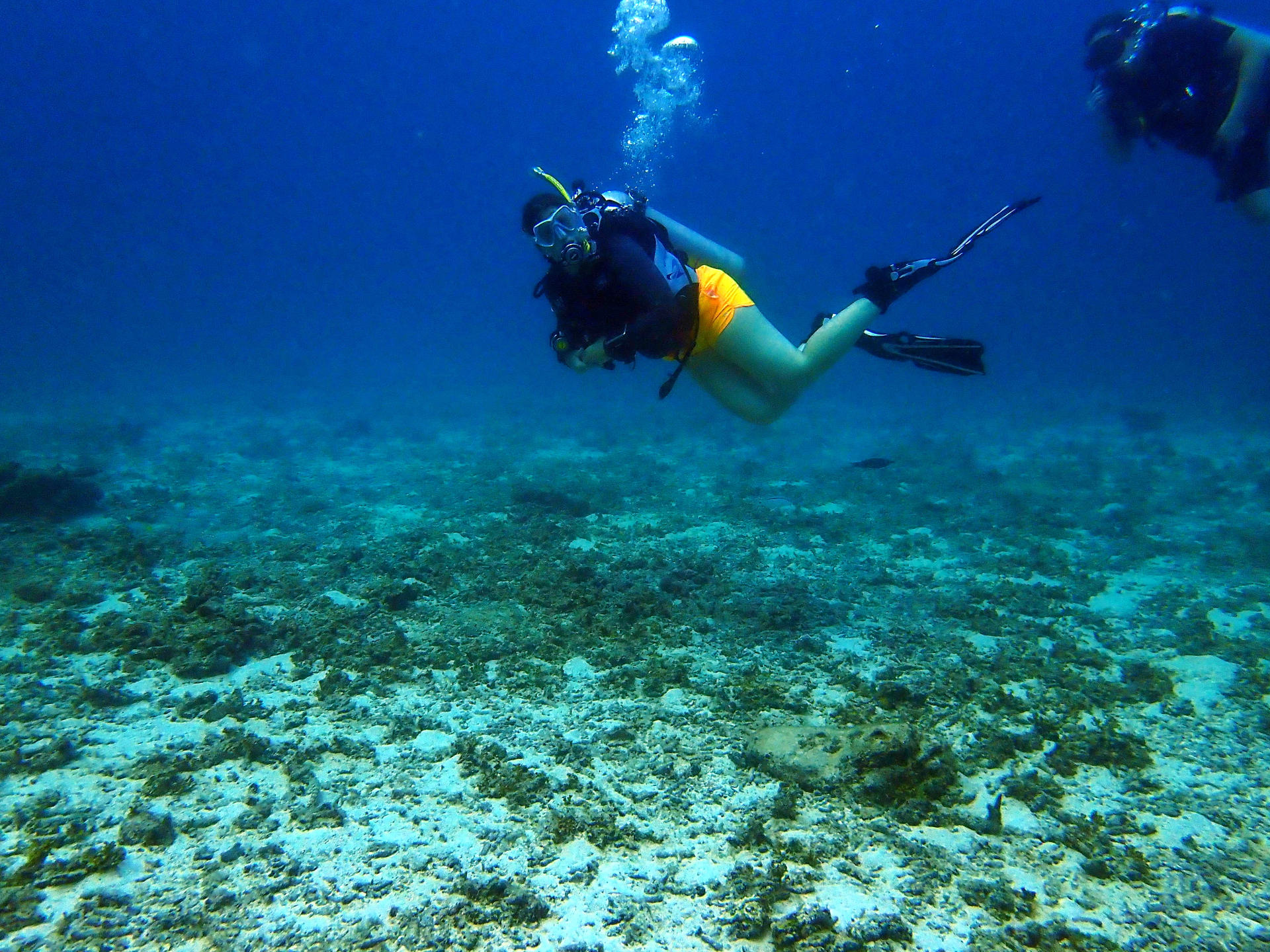 Martina Stasny, Bloggerin bei Wanderhunger.at und PADI Open Water Scuba Instructor, Tauchlehrerin