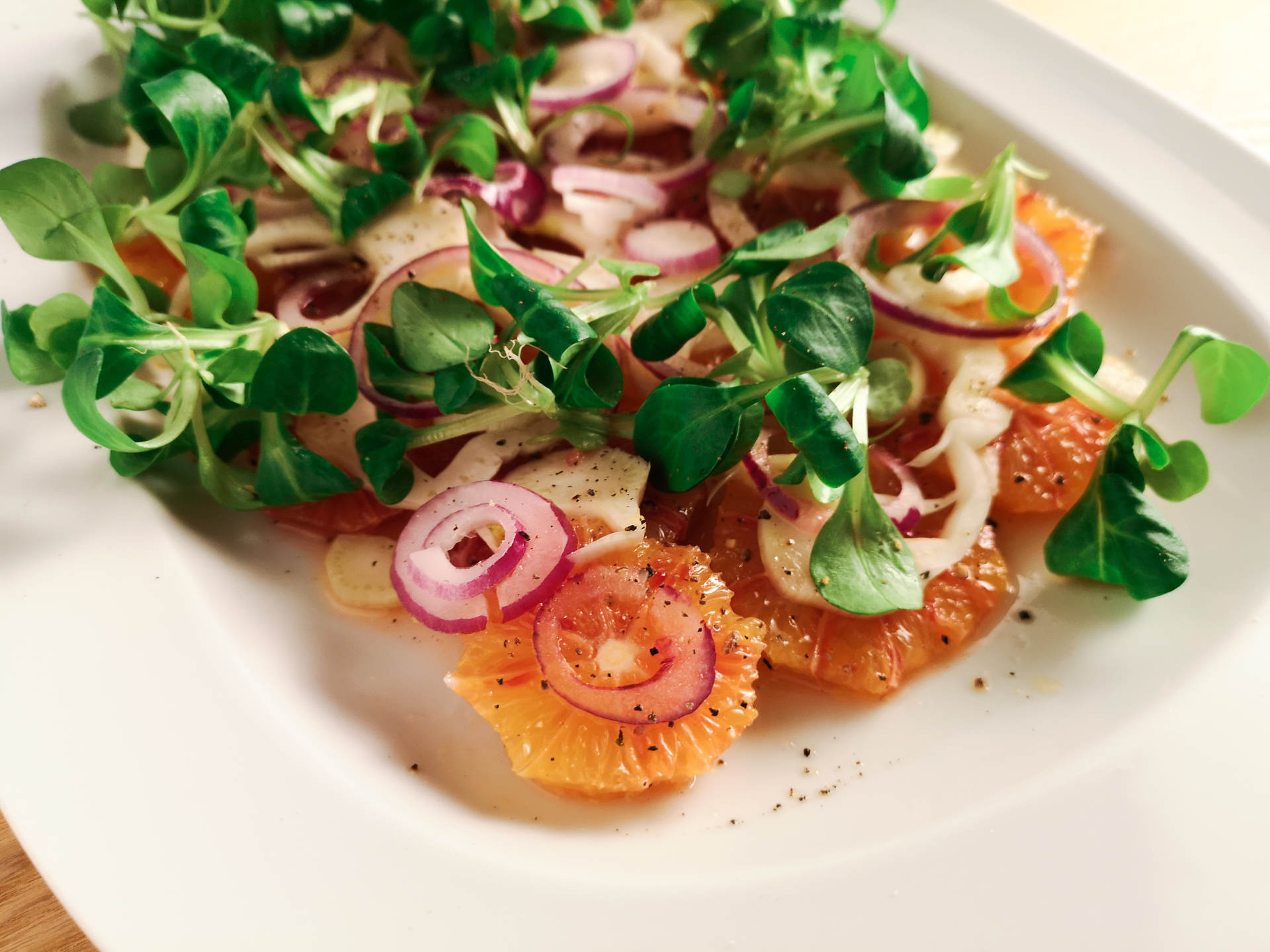 Orangen-Fenchel-Salat mit Zwiebel und Feldsalat | Rezept | Foodblog