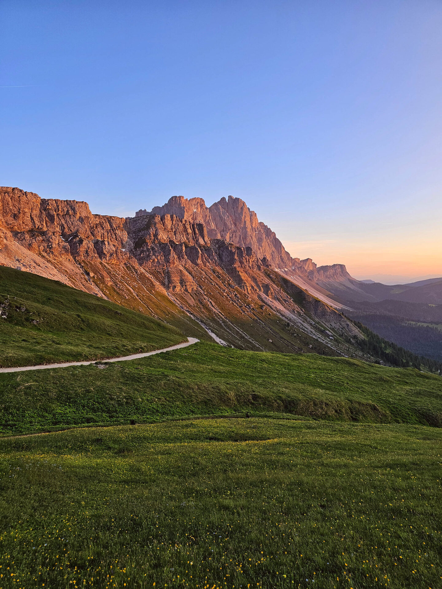 Bergwand im Abendrot vor Almwiese